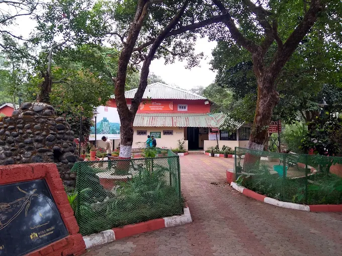 MTDC Resort Mahabaleshwar rooms with comfortable stay and scenic hill views