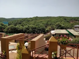 MTDC Resort Mahabaleshwar location surrounded by lush greenery and mountains